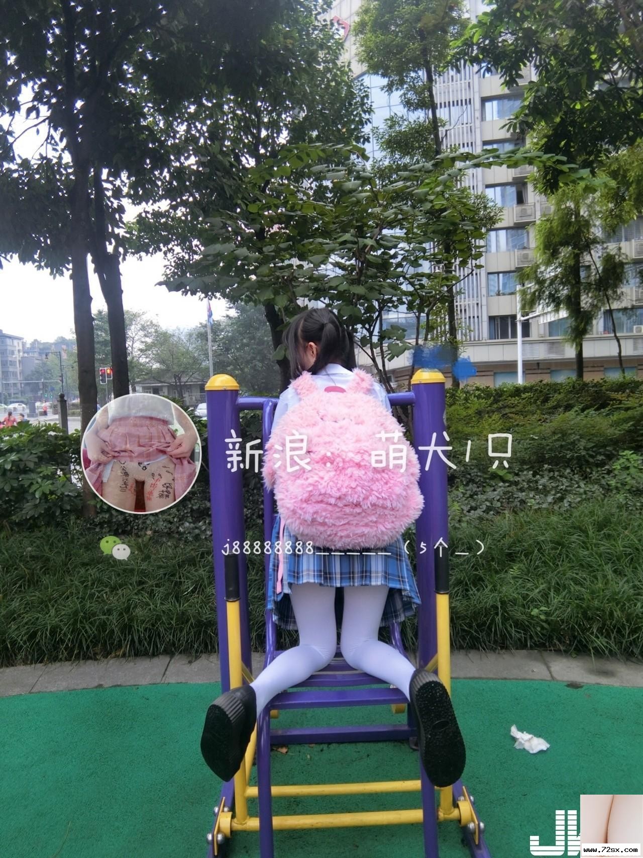 图片[2]-[網路收集] 萌犬1只 戶外裸白絲VIP專屬 [21P]-黑狗写真局